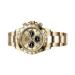 Rolex Daytona 116508-0014 Golden and Black Dial